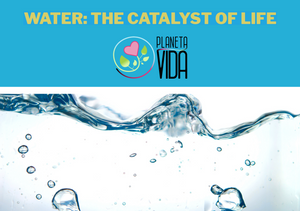 WATER: THE CATALYST OF LIFE