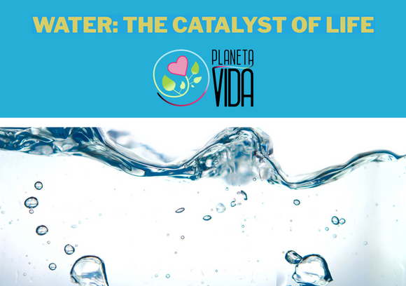 WATER: THE CATALYST OF LIFE