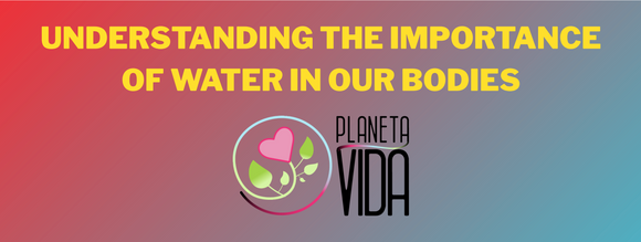 UNDERSTANDING THE IMPORTANCE OF WATER IN OUR BODIES