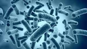 Los probióticos y su auge como productos de limpieza